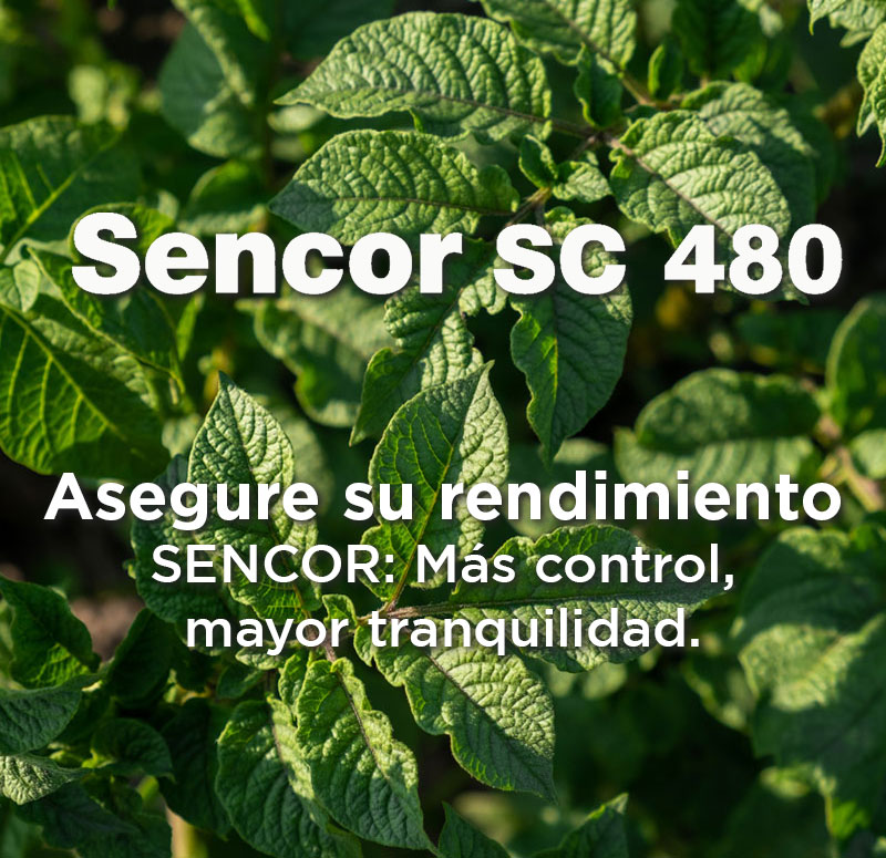 SENCOR® Más control, mayor tranquilidad.
